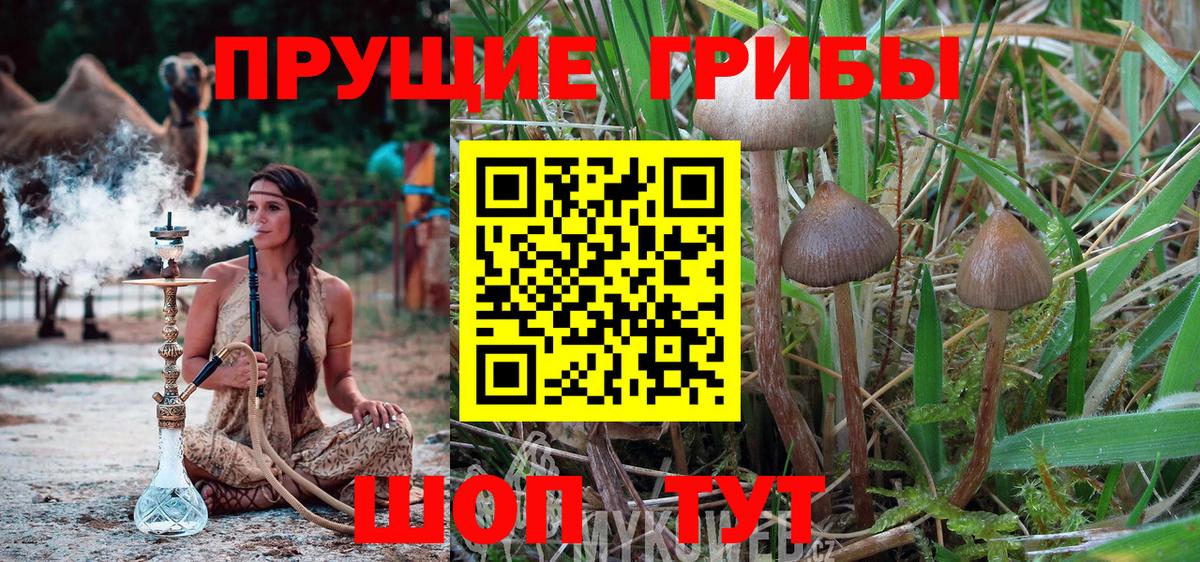 Йошкар-Ола  Галлюциногенные грибы Magic Shrooms  Вход с VPN 